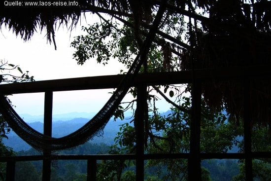 Gibbon Experience: Blick vom Baumhaus in den Dschungel