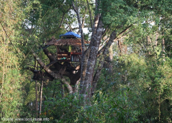 Gibbon Experience: Eines der Baumhäuser 