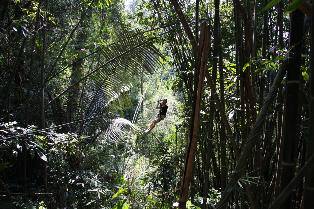 Gbbon Experience - von Baum zu Baum fliegen